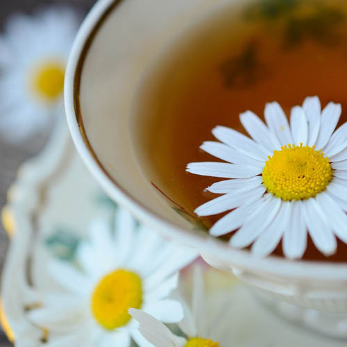 Phytothérapie photo pot de crème